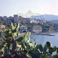 Μικρογραφία εικόνας