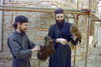 Μικρογραφία εικόνας