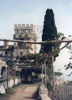 Μικρογραφία εικόνας