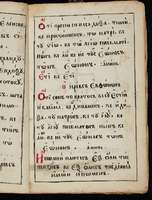 Μικρογραφία εικόνας