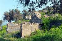 Μικρογραφία εικόνας