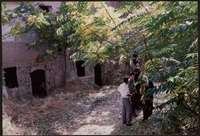 Μικρογραφία εικόνας