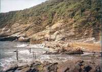 Μικρογραφία εικόνας