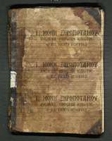 Μικρογραφία εικόνας