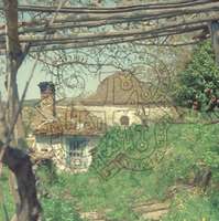 Μικρογραφία εικόνας