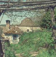 Μικρογραφία εικόνας