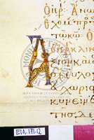 Μικρογραφία εικόνας