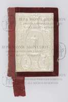 Μικρογραφία εικόνας