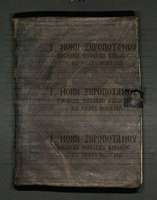 Μικρογραφία εικόνας