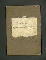 Μικρογραφία εικόνας