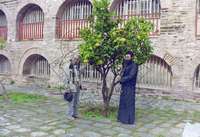 Μικρογραφία εικόνας