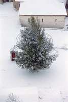 Μικρογραφία εικόνας