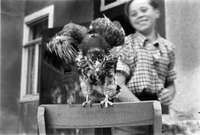 Μικρογραφία εικόνας