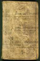 Μικρογραφία εικόνας