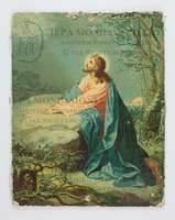 Μικρογραφία εικόνας