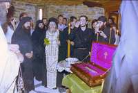 Μικρογραφία εικόνας