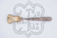 Μικρογραφία εικόνας