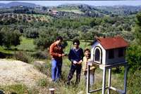 Μικρογραφία εικόνας