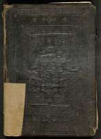 Μικρογραφία εικόνας