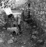 Μικρογραφία εικόνας