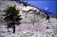 Μικρογραφία εικόνας