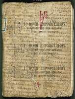 Μικρογραφία εικόνας