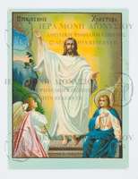 Μικρογραφία εικόνας