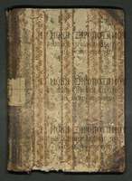 Μικρογραφία εικόνας