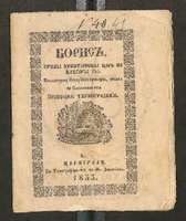 Μικρογραφία εικόνας