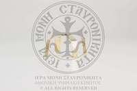 Μικρογραφία εικόνας