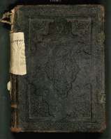 Μικρογραφία εικόνας