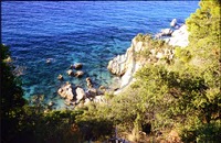 Μικρογραφία εικόνας